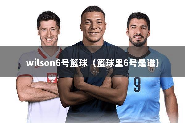 wilson6号篮球（篮球里6号是谁）