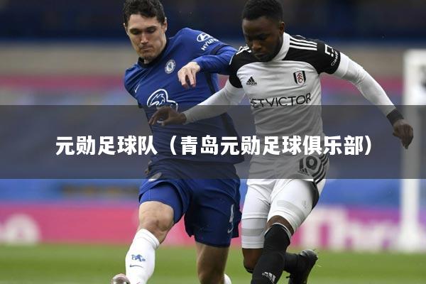 元勋足球队（青岛元勋足球俱乐部）