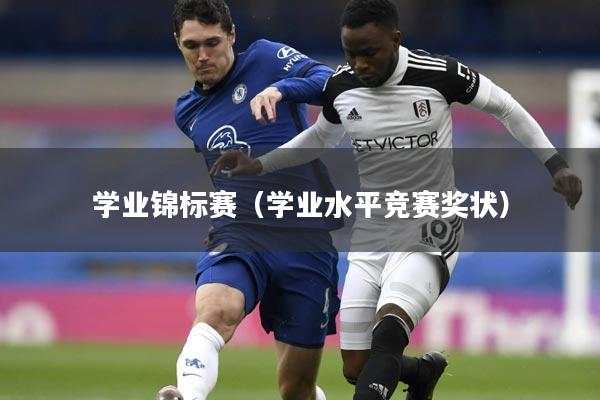 学业锦标赛（学业水平竞赛奖状）