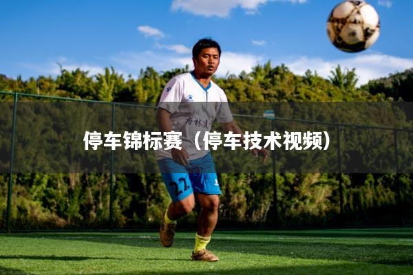 停车锦标赛（停车技术视频）