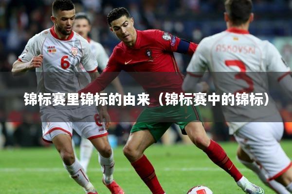 锦标赛里锦标的由来（锦标赛中的锦标）